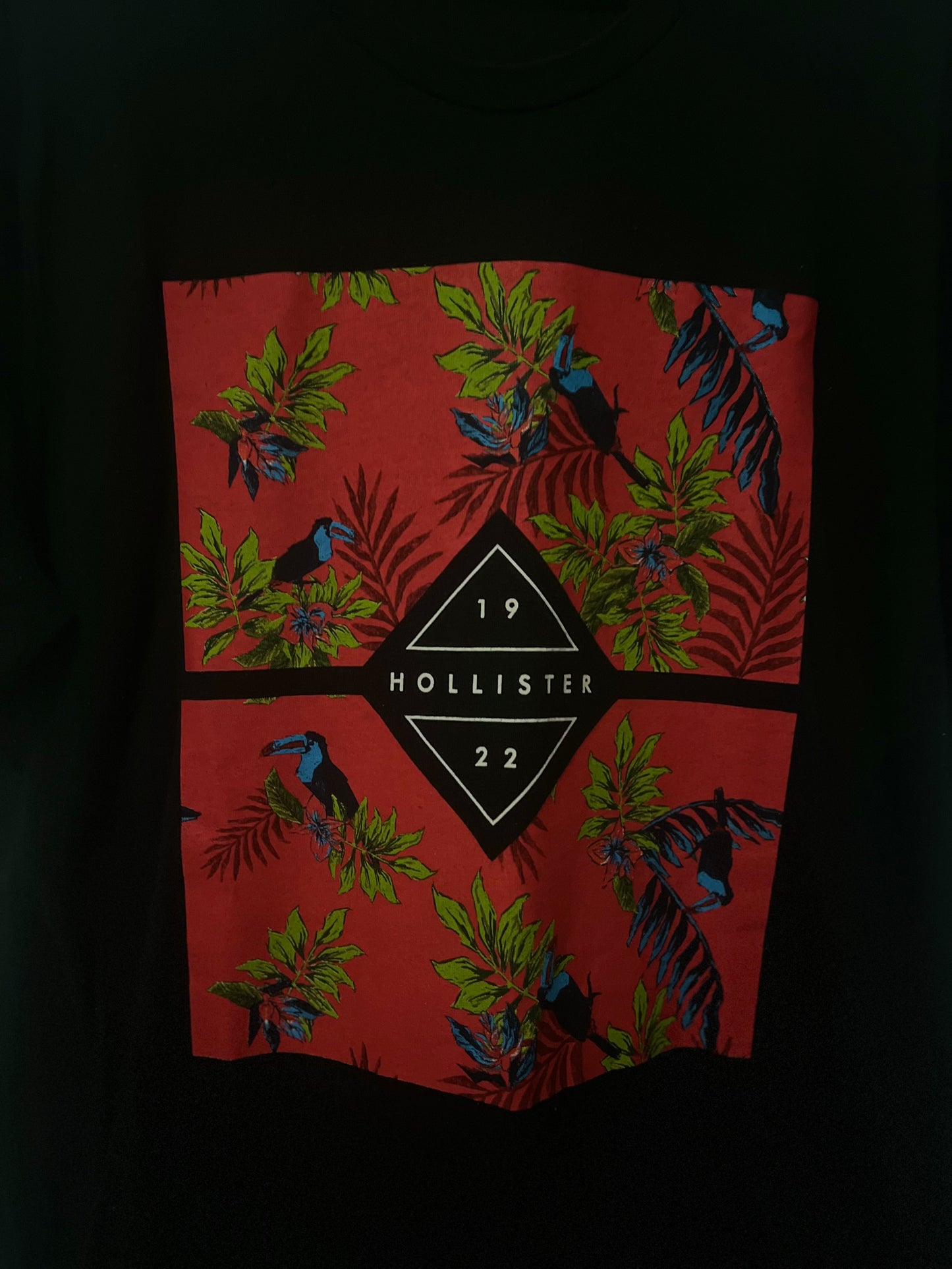 T-Shirt Hollister - Azul