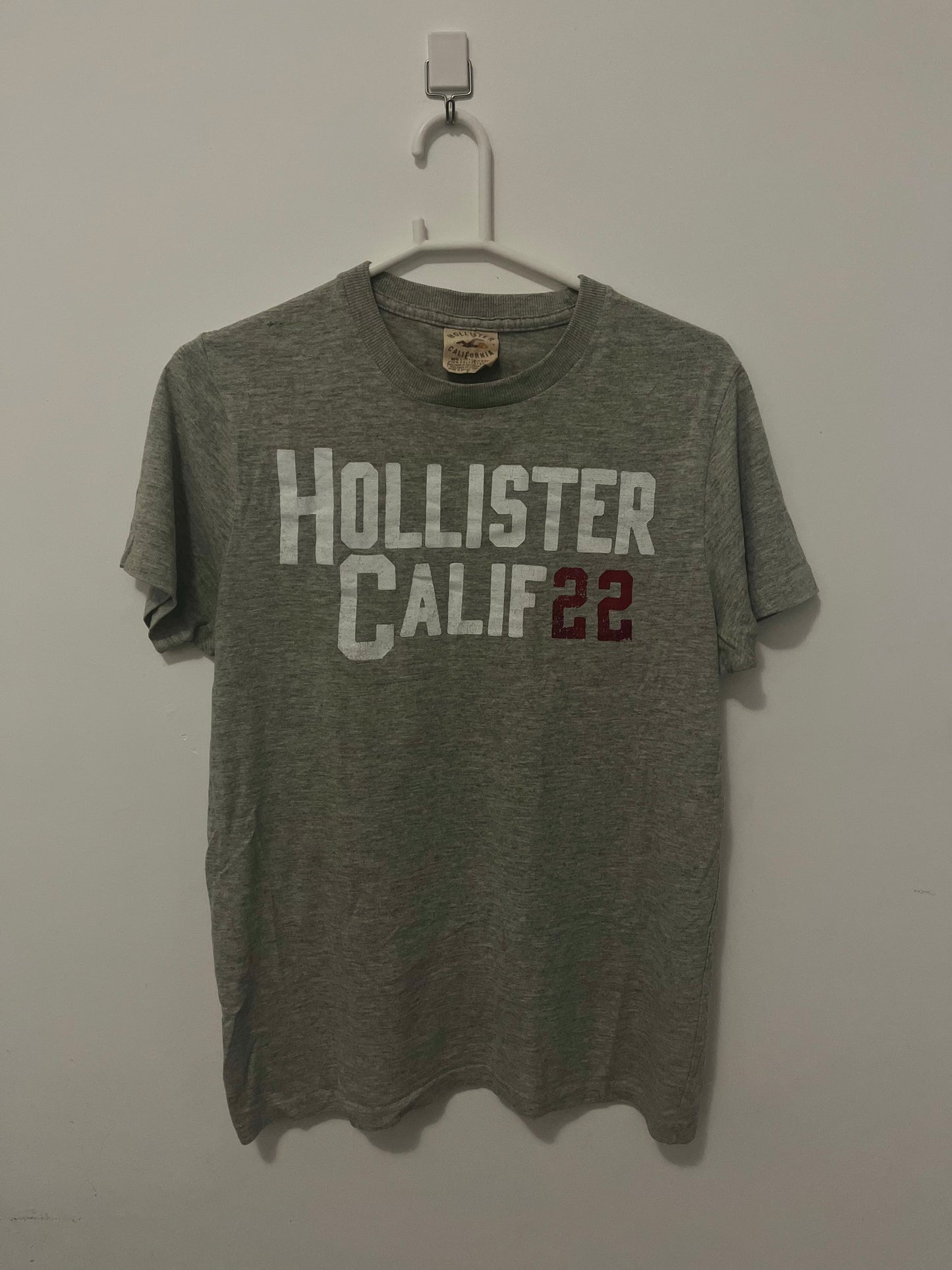 Camiseta Hollister 22
