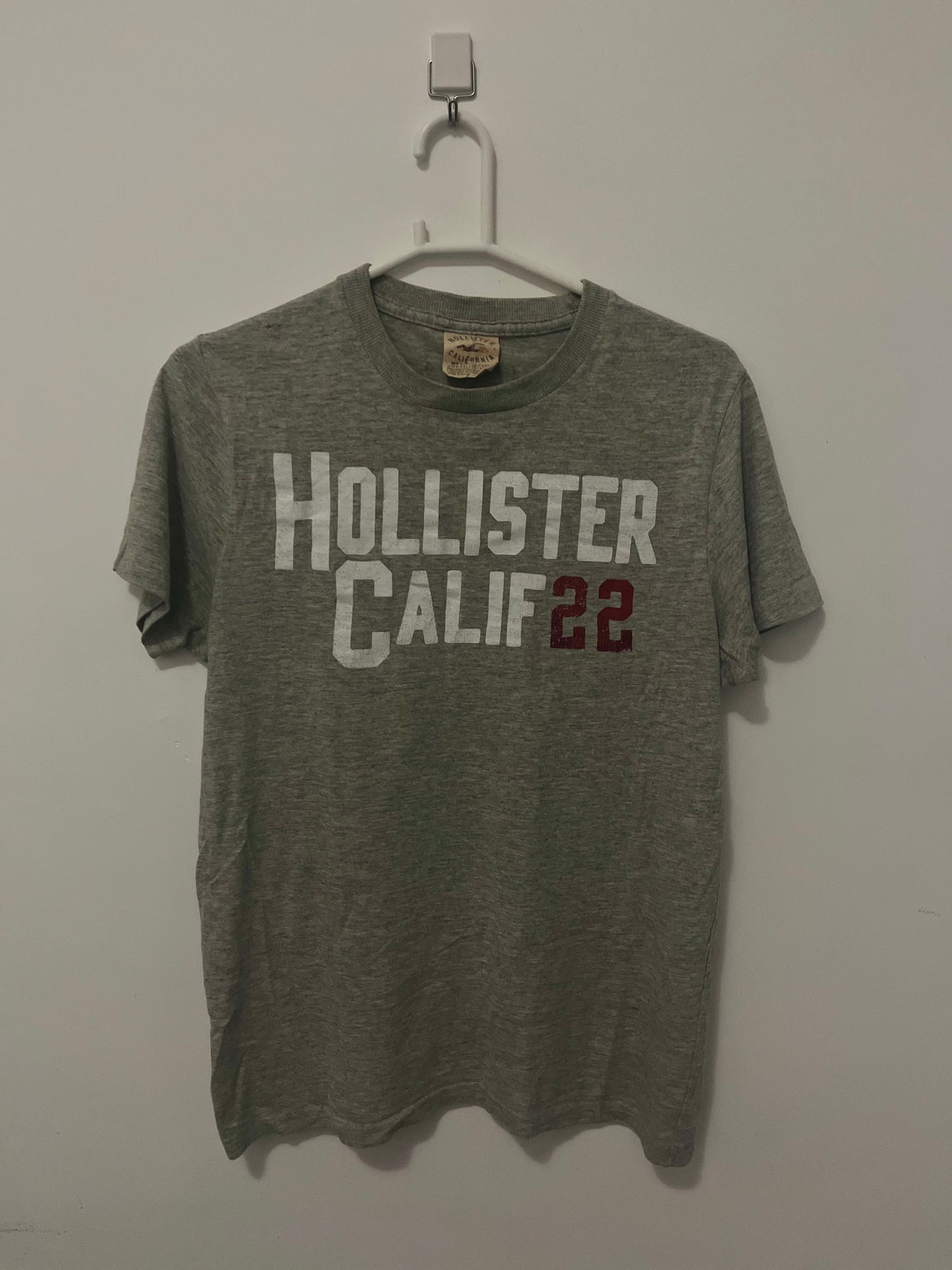 Camiseta Hollister 22